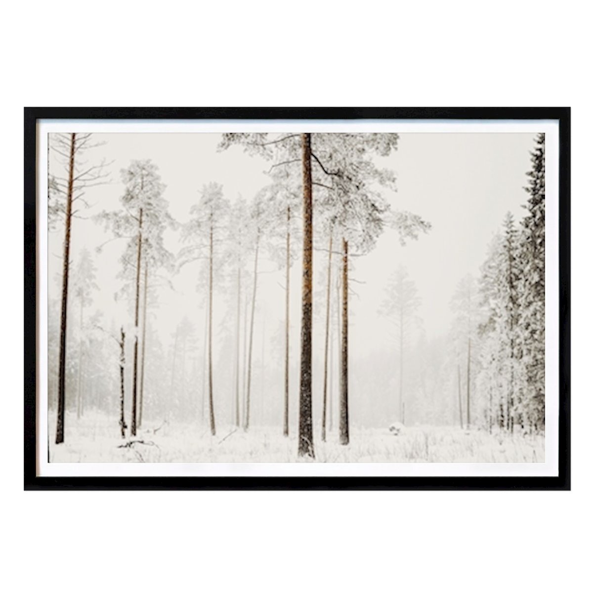 Natur Plakat: Vinterklær av Angelica Persson