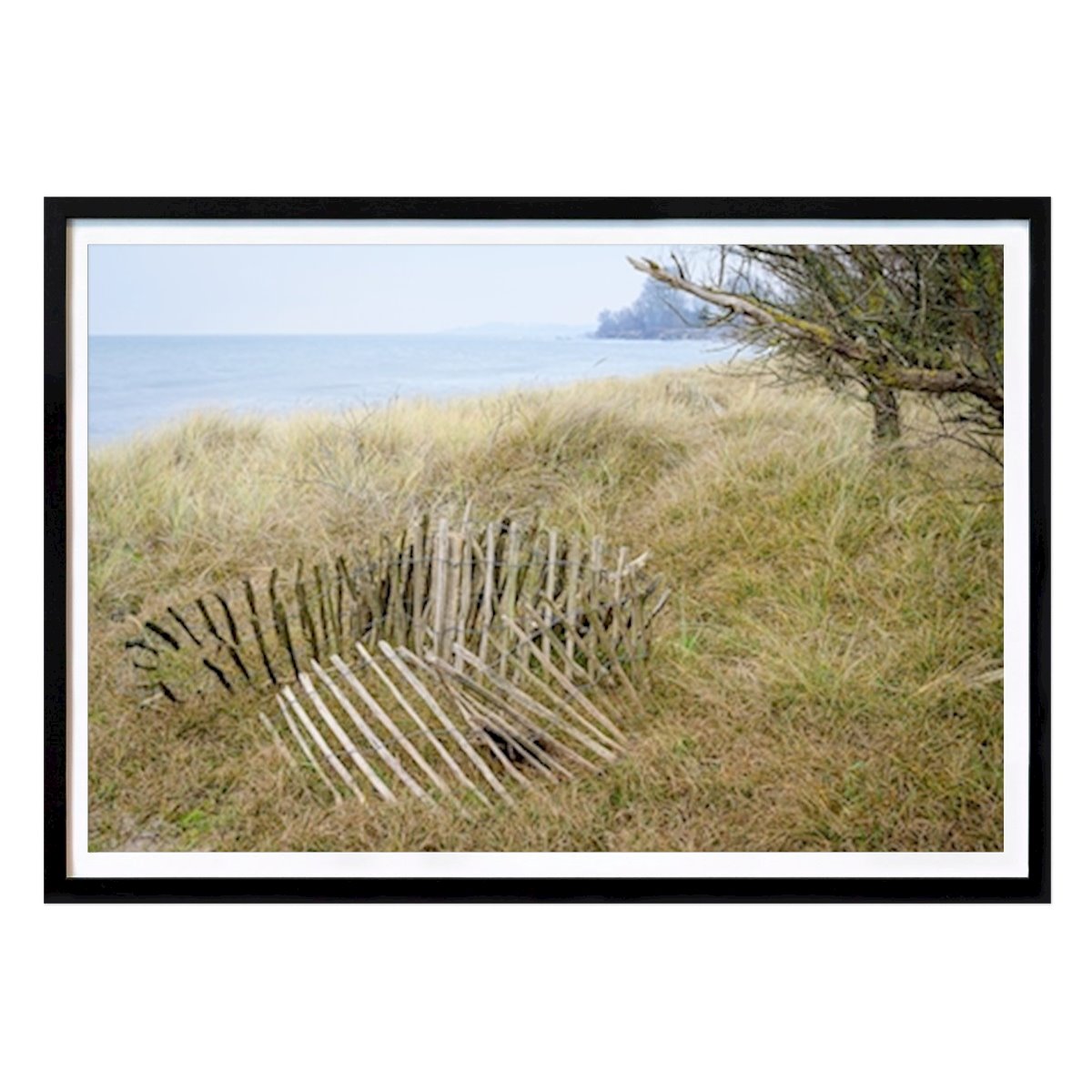 Blumen & Pflanzen Poster: Zäune am Strand von Mattias Rockström