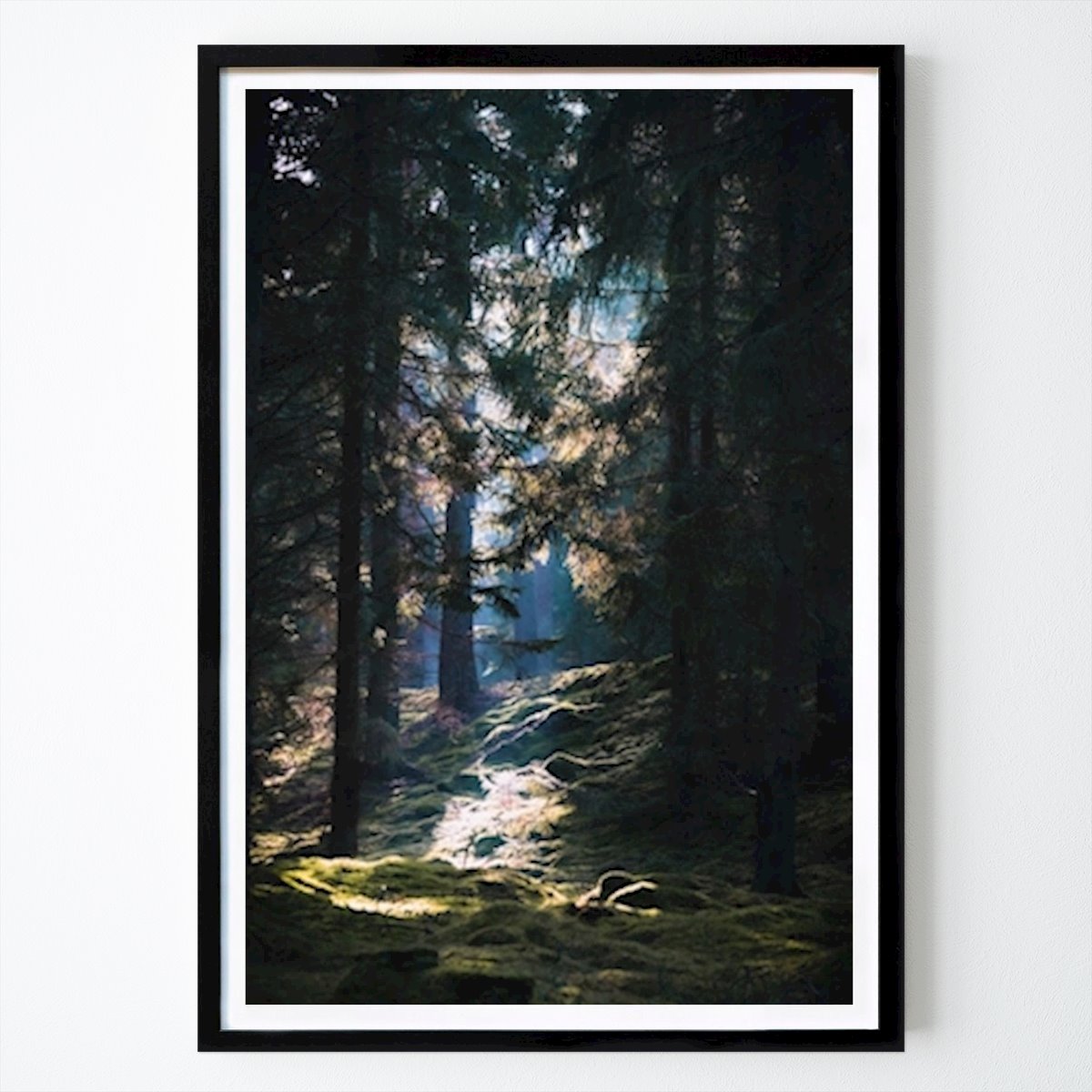 Lifestyle Poster: Wald von Jon Steine