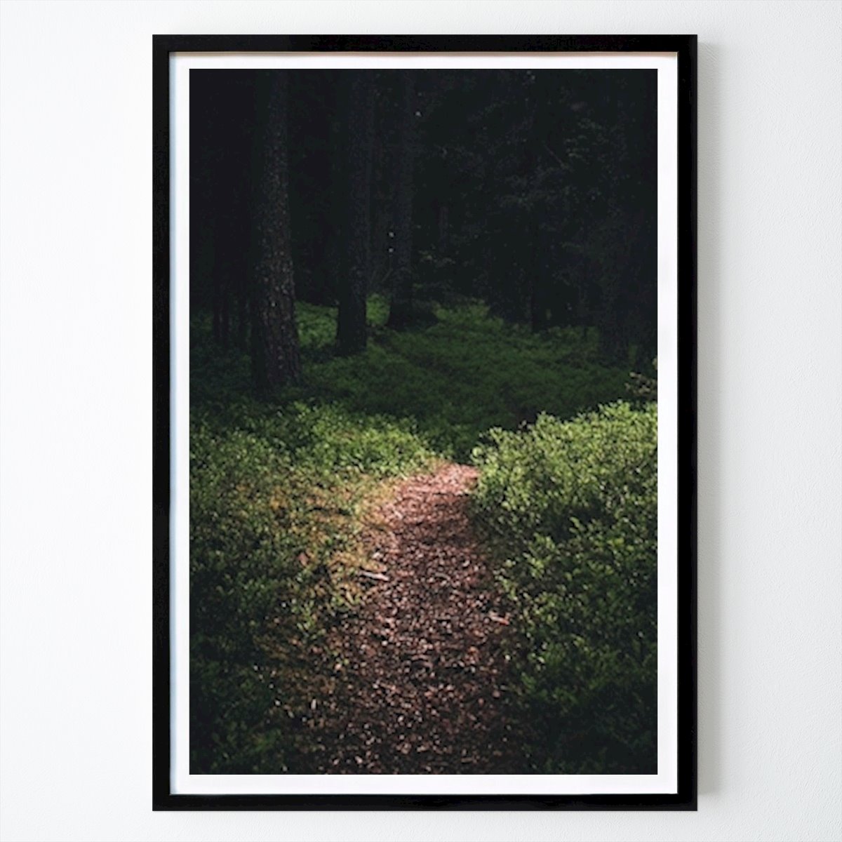 Nature Poster: Path by Dr Dino