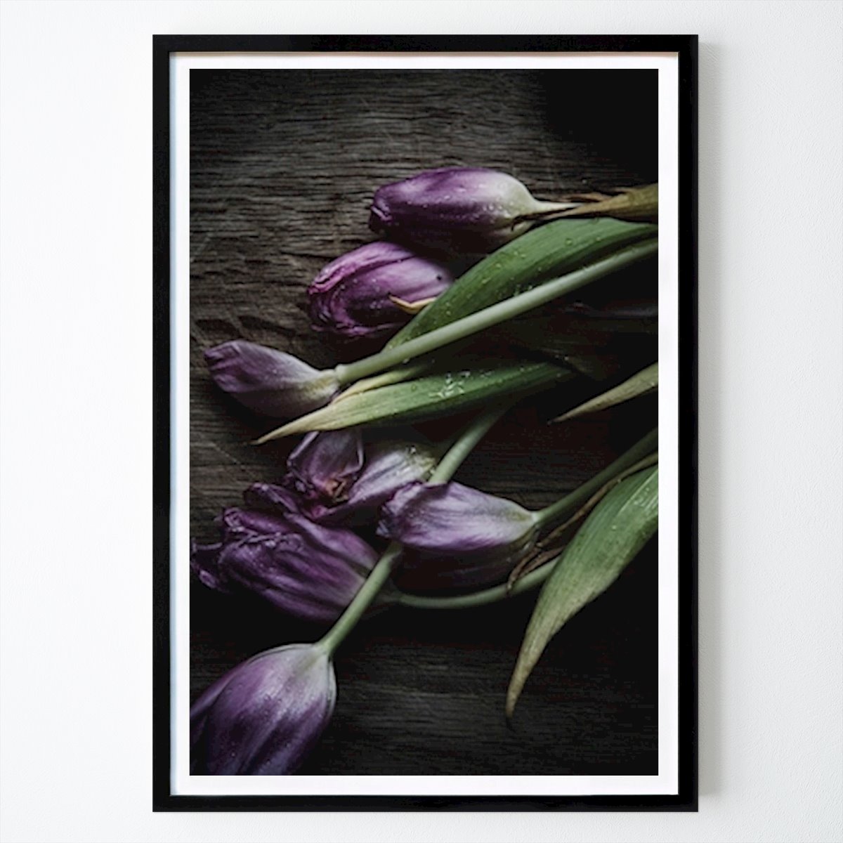 Blomster & Planter Plakat: Lilla tulipaner av Sabina Hannila