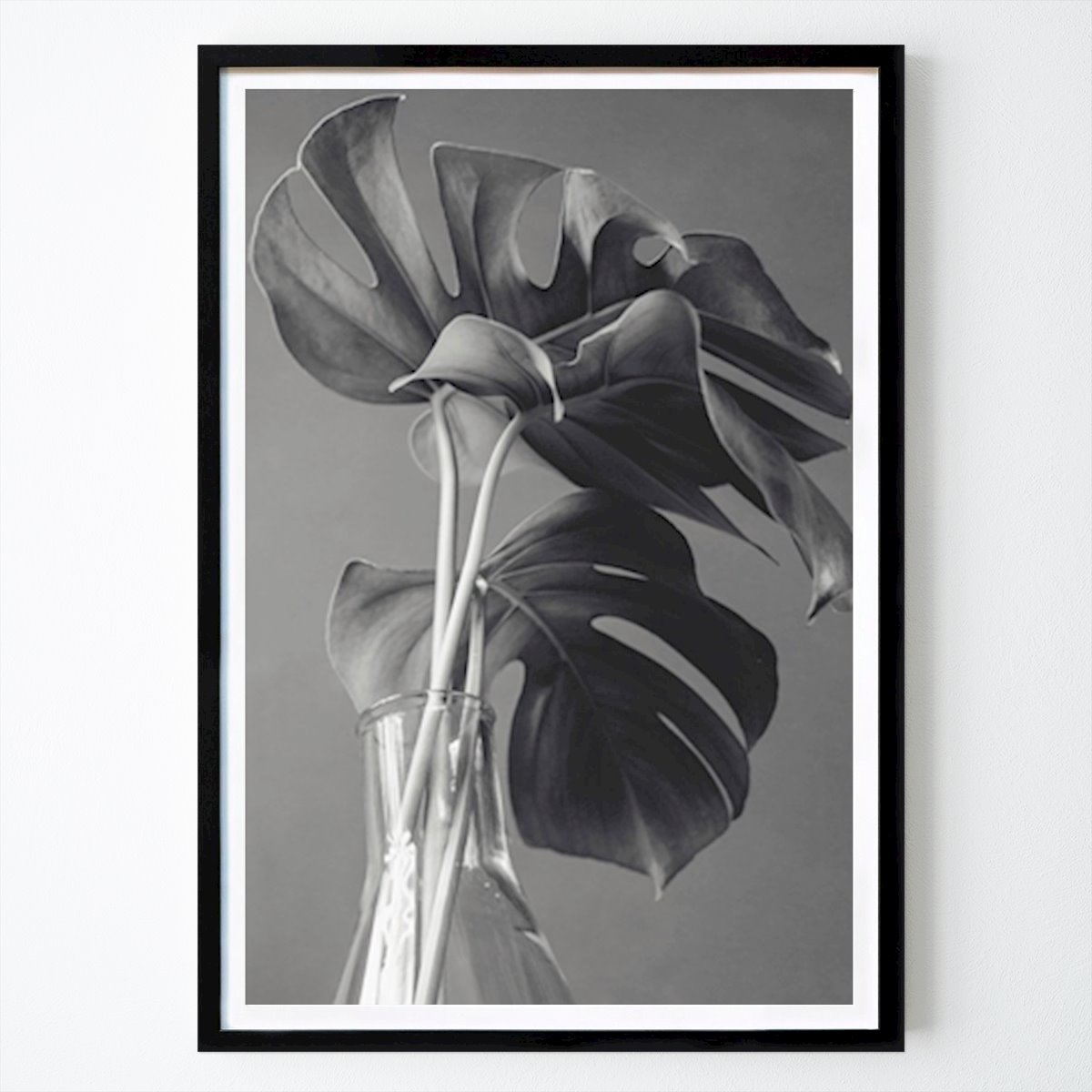 Botanical Poster: Monstera by Sirkku Eskola