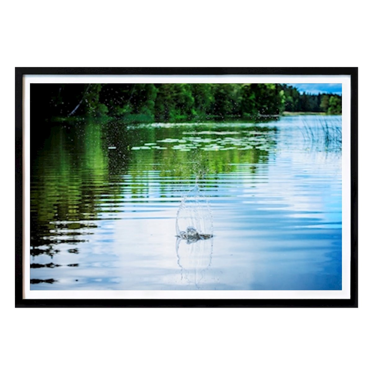Natur Poster: Jonglieren von Stefan Larsson