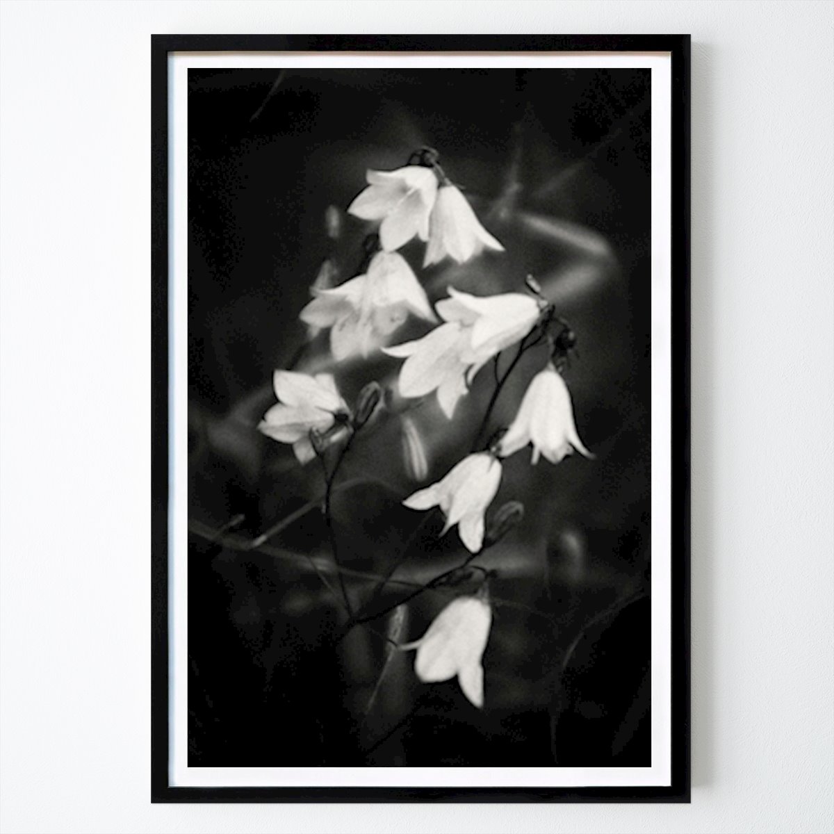 Botaniske Plakat: Hvite klokker av Susanne Bogren