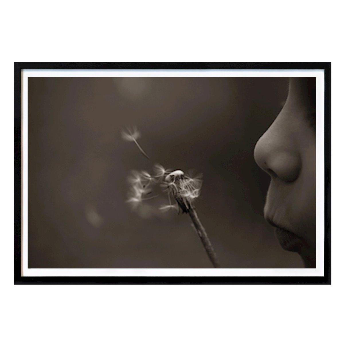 Blumen & Pflanzen Poster: Löwenzahn von Jonas Vallin