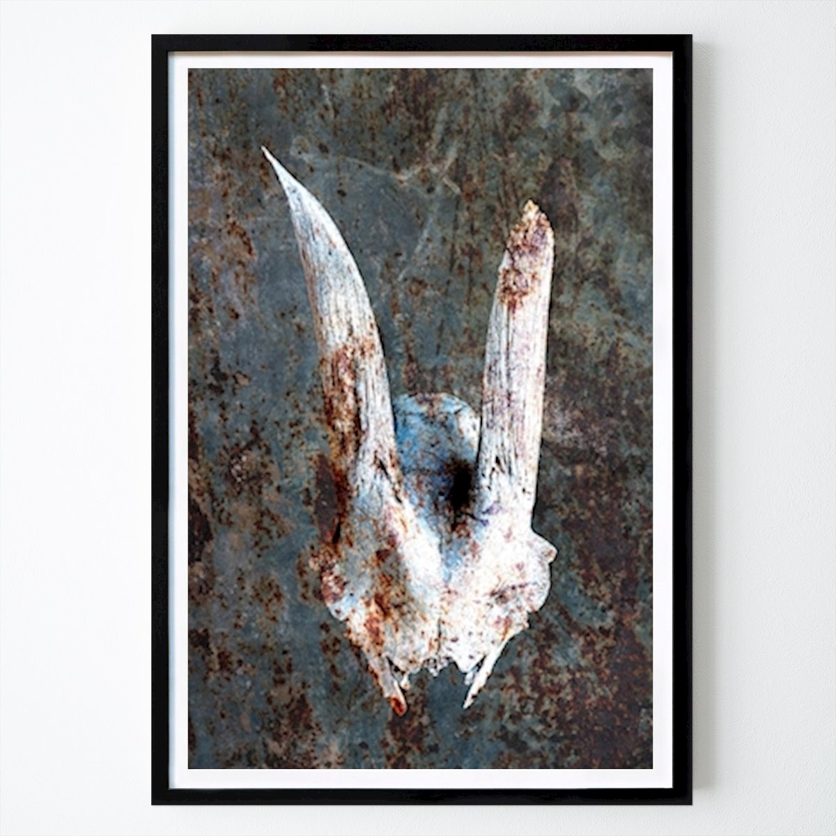 Animal Póster: Skalle på rostig rostig plåt de Leif Fryle