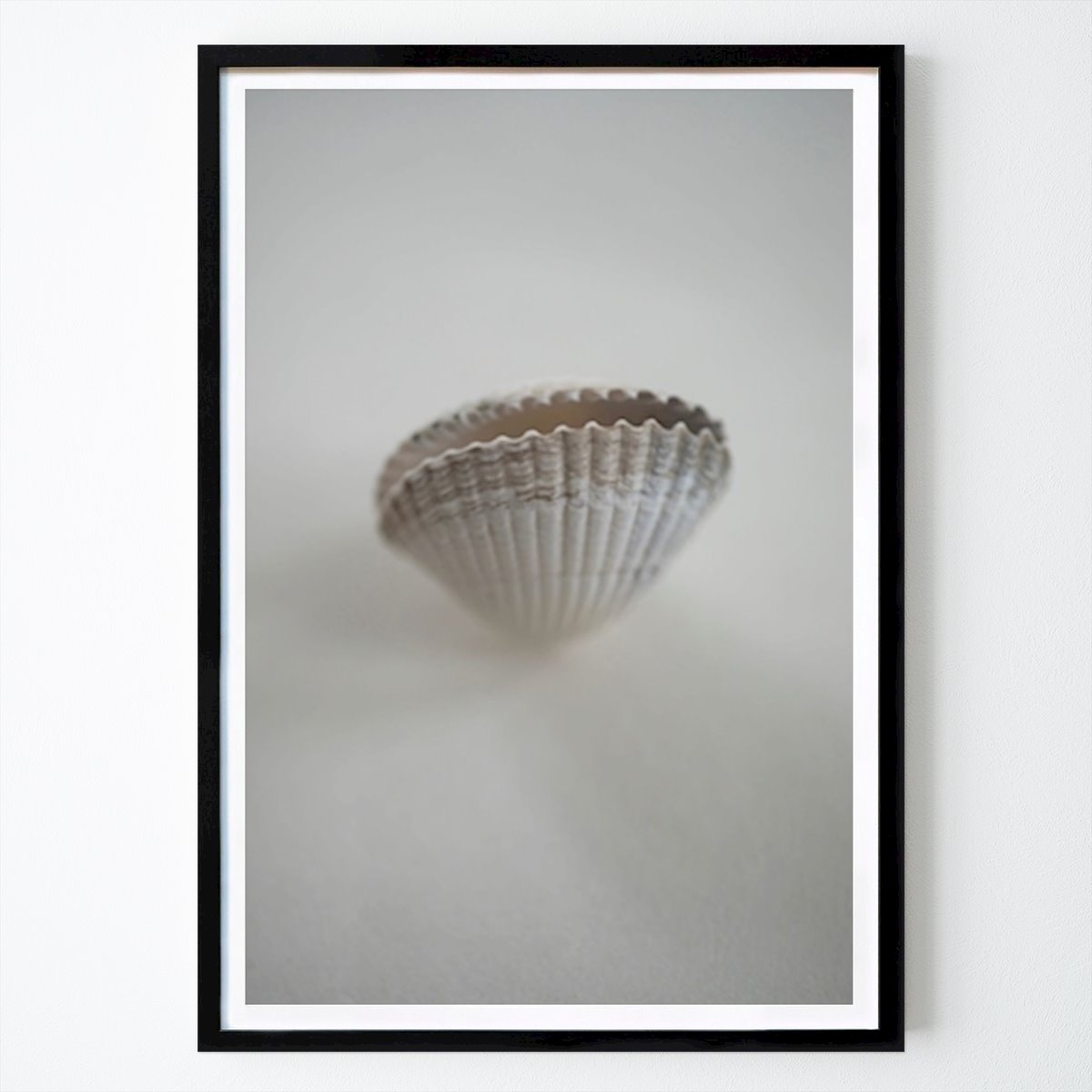 Natur Plakat: Shelly av Days by leon
