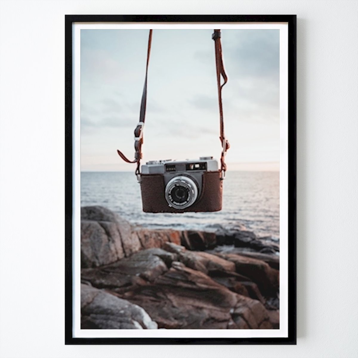 Nature Poster: Analog Camera by Lucas Lindfors