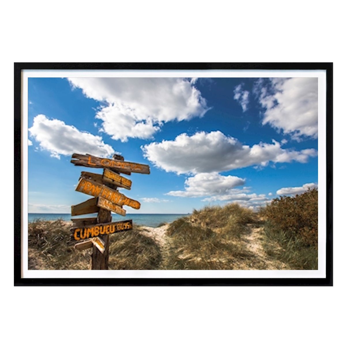 Sport & Hobbies Poster: Leiden van Lasse Johansson