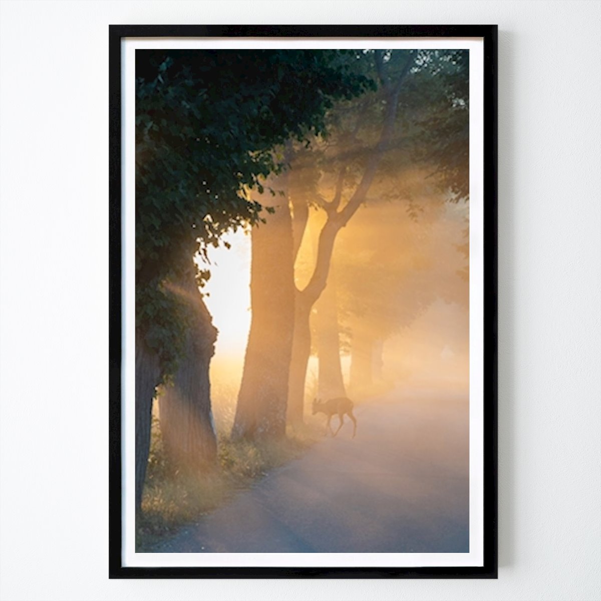 Reh im Morgenlicht Poster von Elin Schibsted – Tier Wandbild – Printler