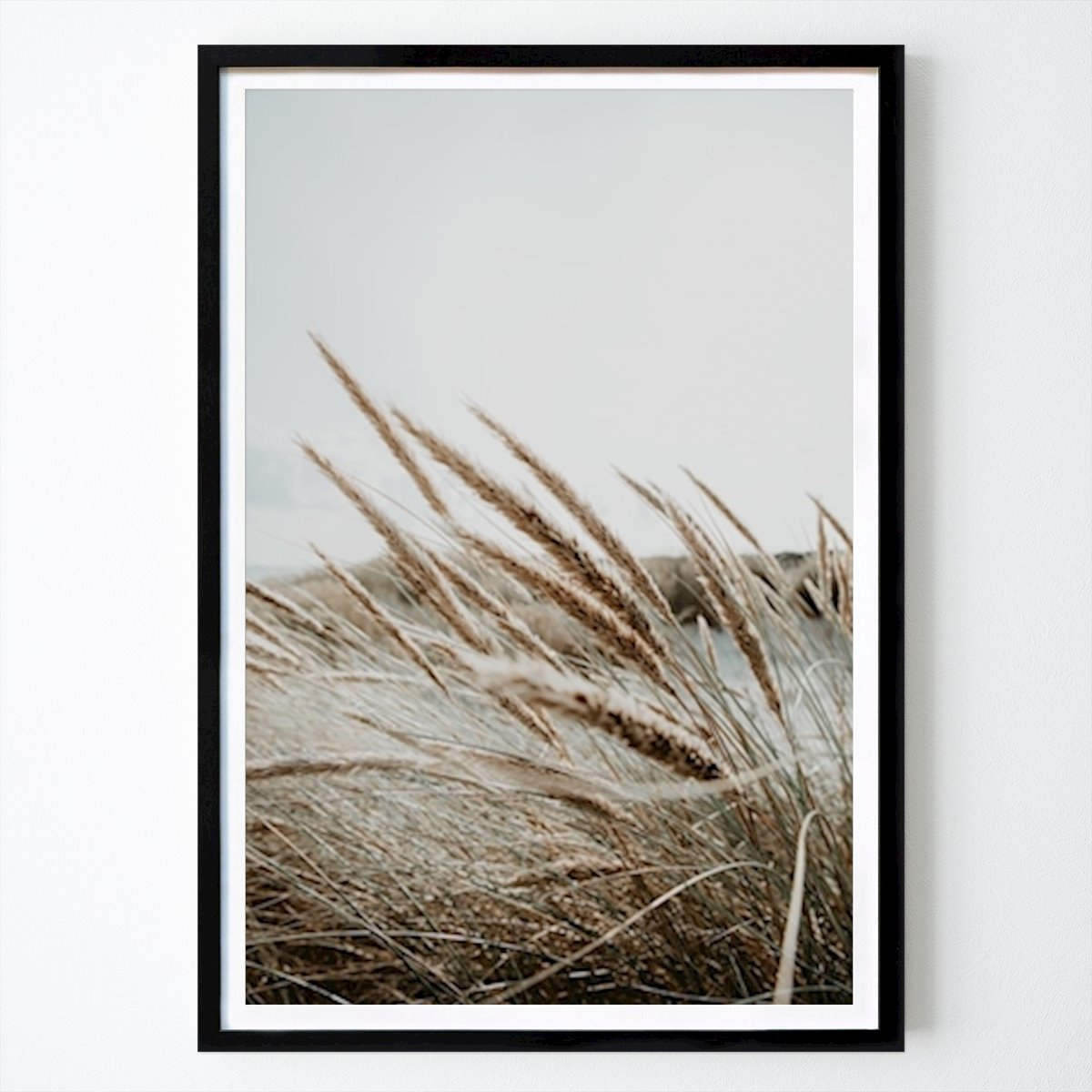 Botanisch Poster: Pampas gras van Branislav Ilic