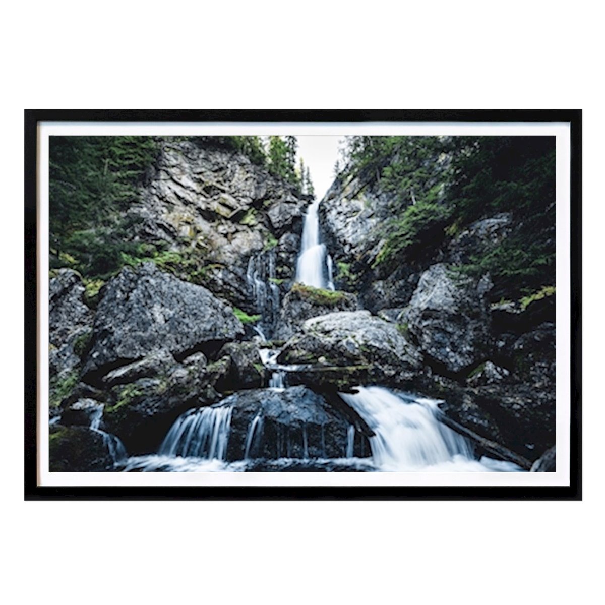 Natura Poster: Nel profondo delle foreste verdi di Jörgen Andersson