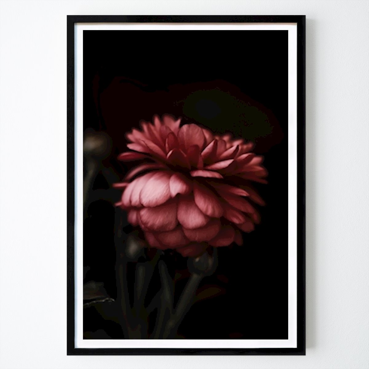 Retro & Vintage Plakat: Mystisk dahlia av Mona