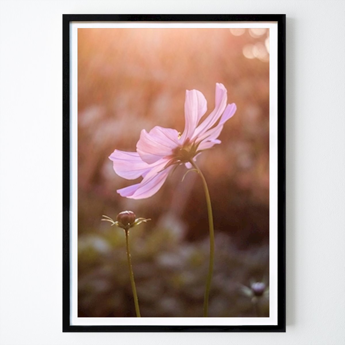 Italy Poster: Pink Hour by Serenella Volpe