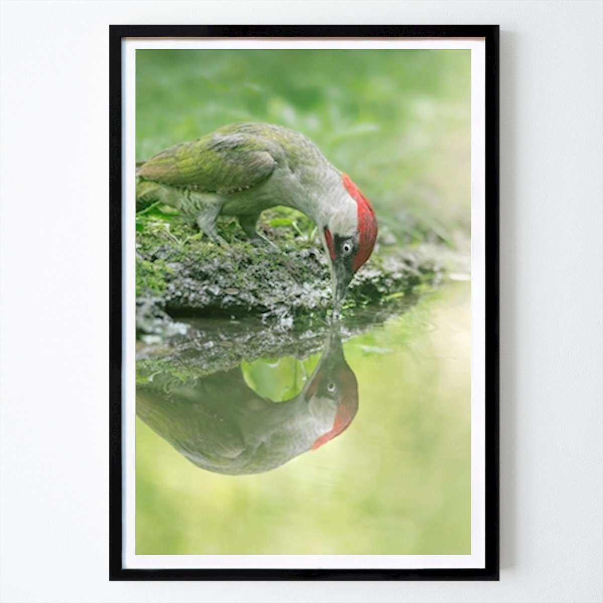 Djur Poster: Själens reflektion av Wild Nature Tales