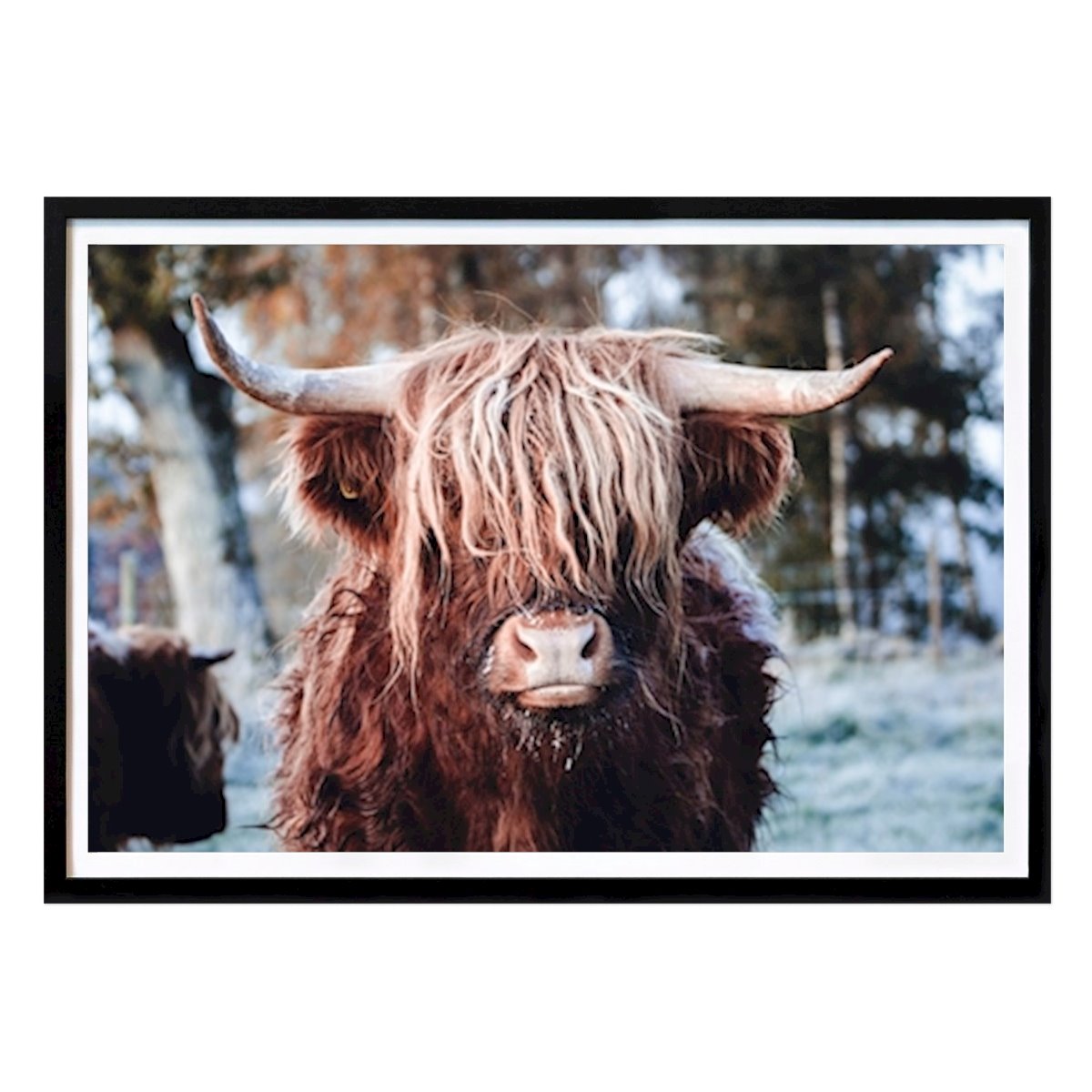 Places & Cities Poster: by Ofelia Carlsson