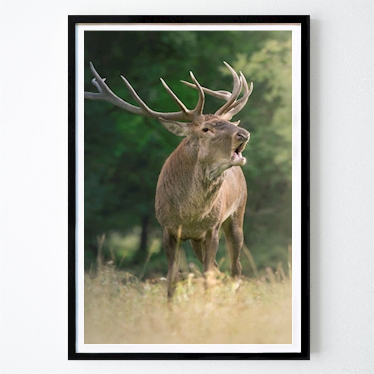 Dieren Poster: Schreeuw van Liefde van Wild Nature Tales