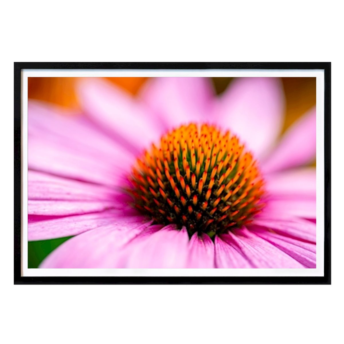 Göteborg Poster: Röd solhatt i närbild av Martin Wahlborg