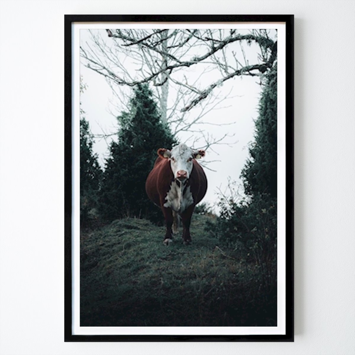 Botanical Poster: Once I met a cow.. by Anton Hultberg