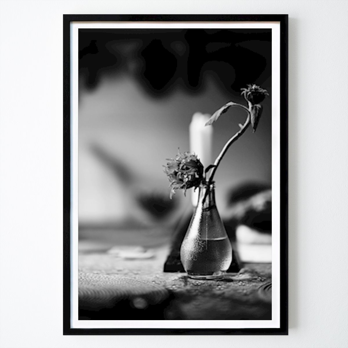 Botanical Poster: Sunflower by Roger Segedahl