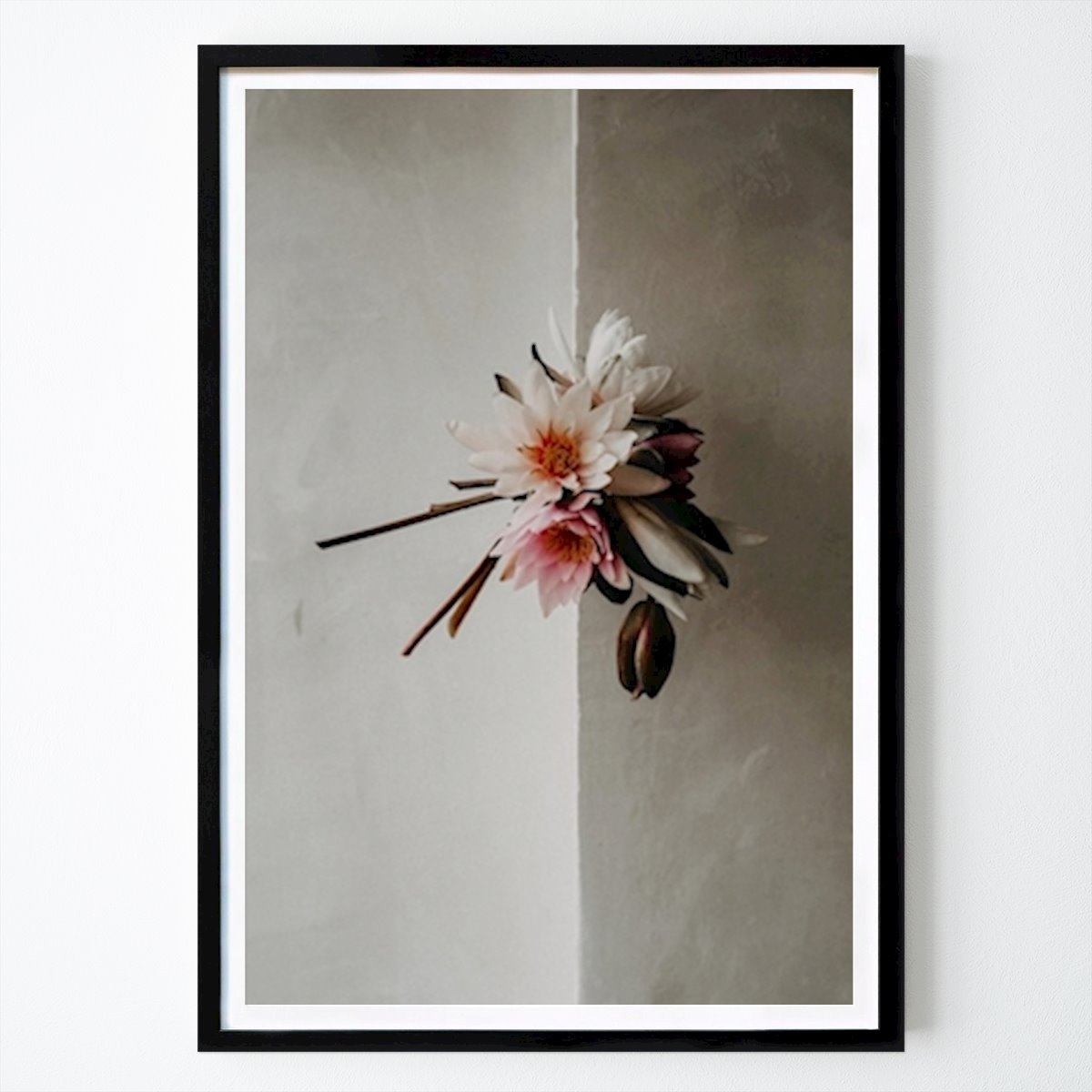 Botanical Poster: Water lilies by Fanni Hermán