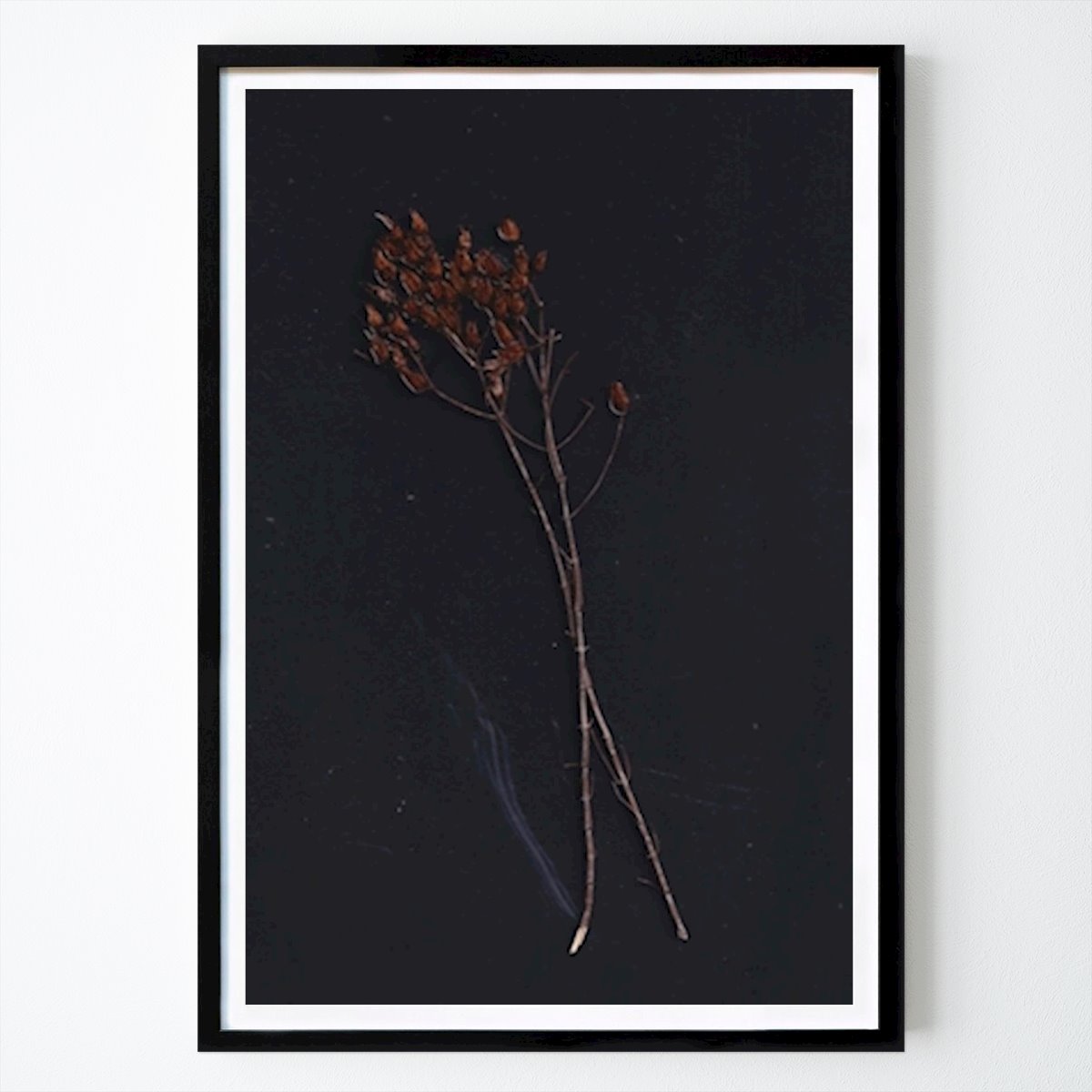 Naturaleza Póster: Rama de caída de Nature Art Prints