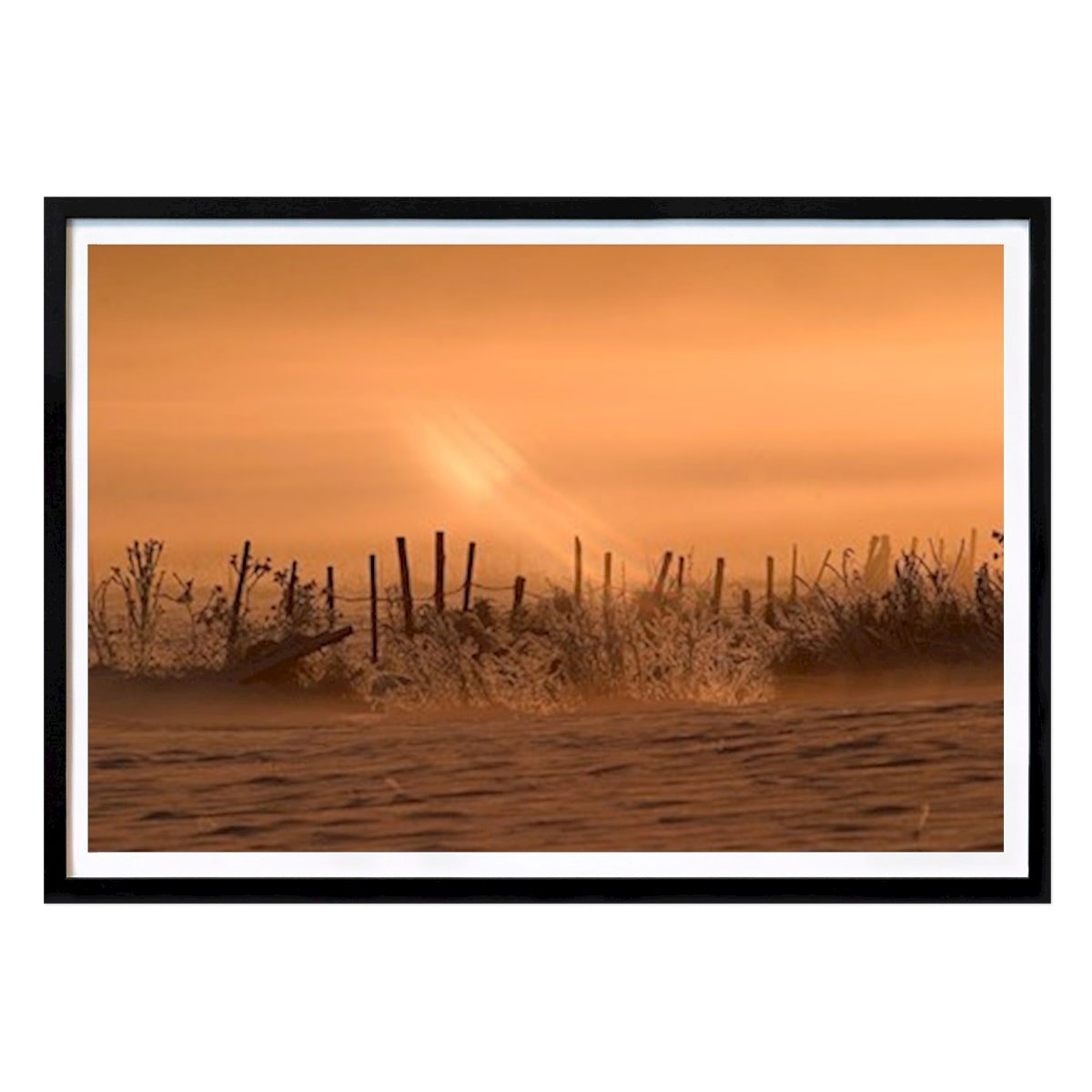 Natuur Poster: Koud van Mats Axell