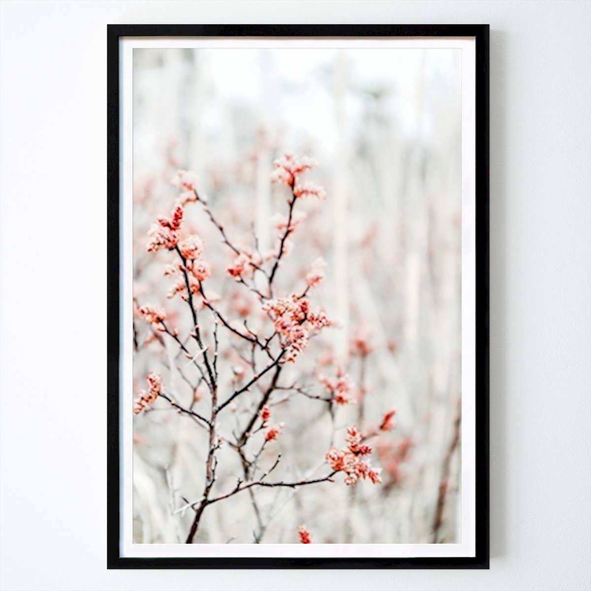 Pors - Myrica Poster von Eveliina Harju – Blumen & Pflanzen Wandbild – Printler