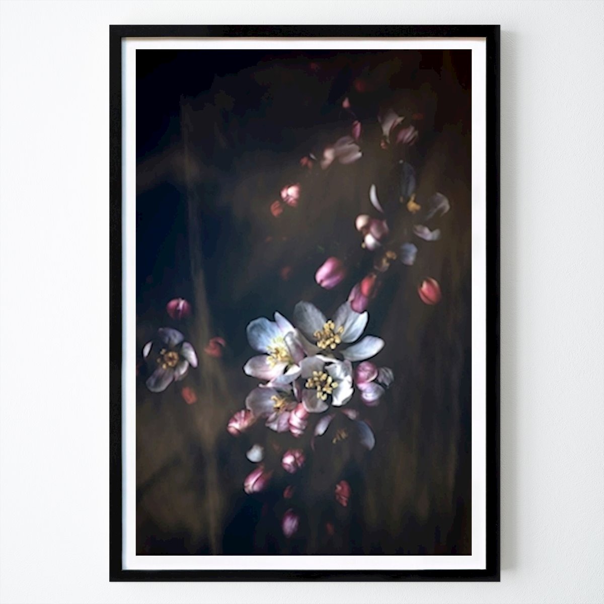 Flores & Plantas Poster: As flores da maçã selvagem de Ulla Långberg