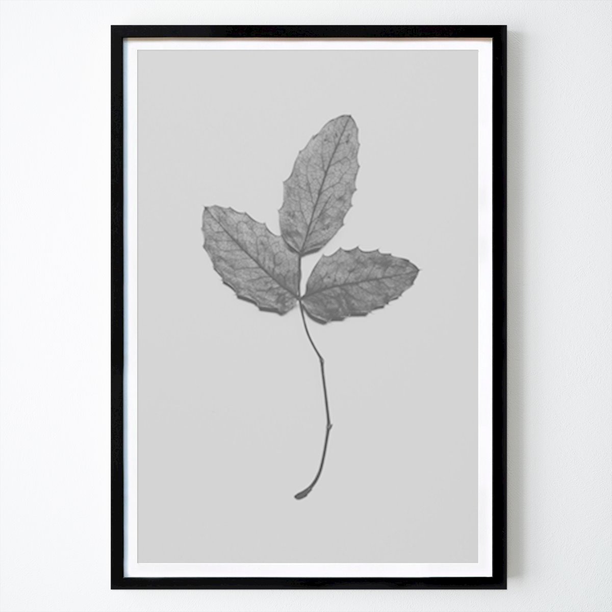 Botanical Poster: Dried II by Irina Balog