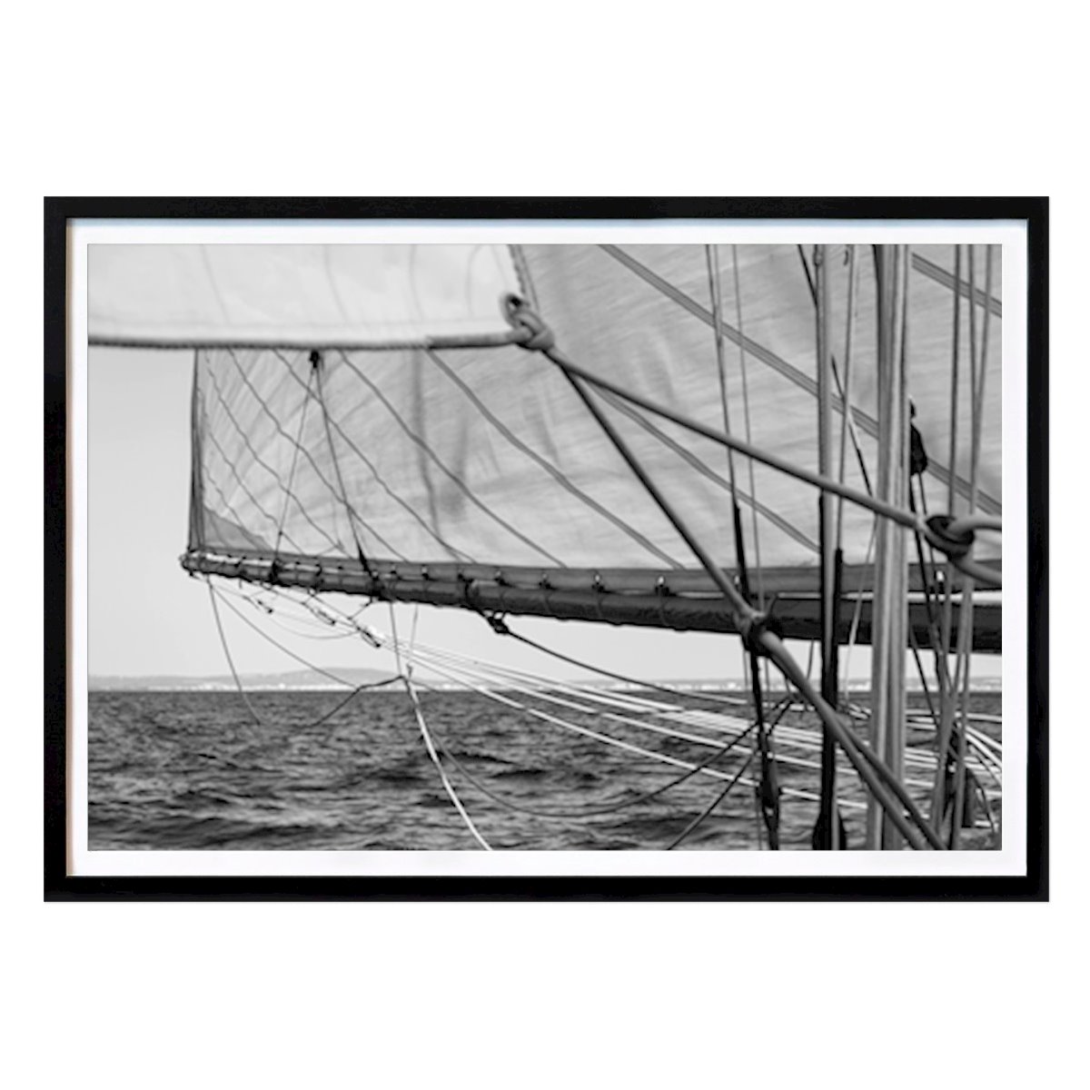 Black & White Poster: Classic sail by Sofia winghamre