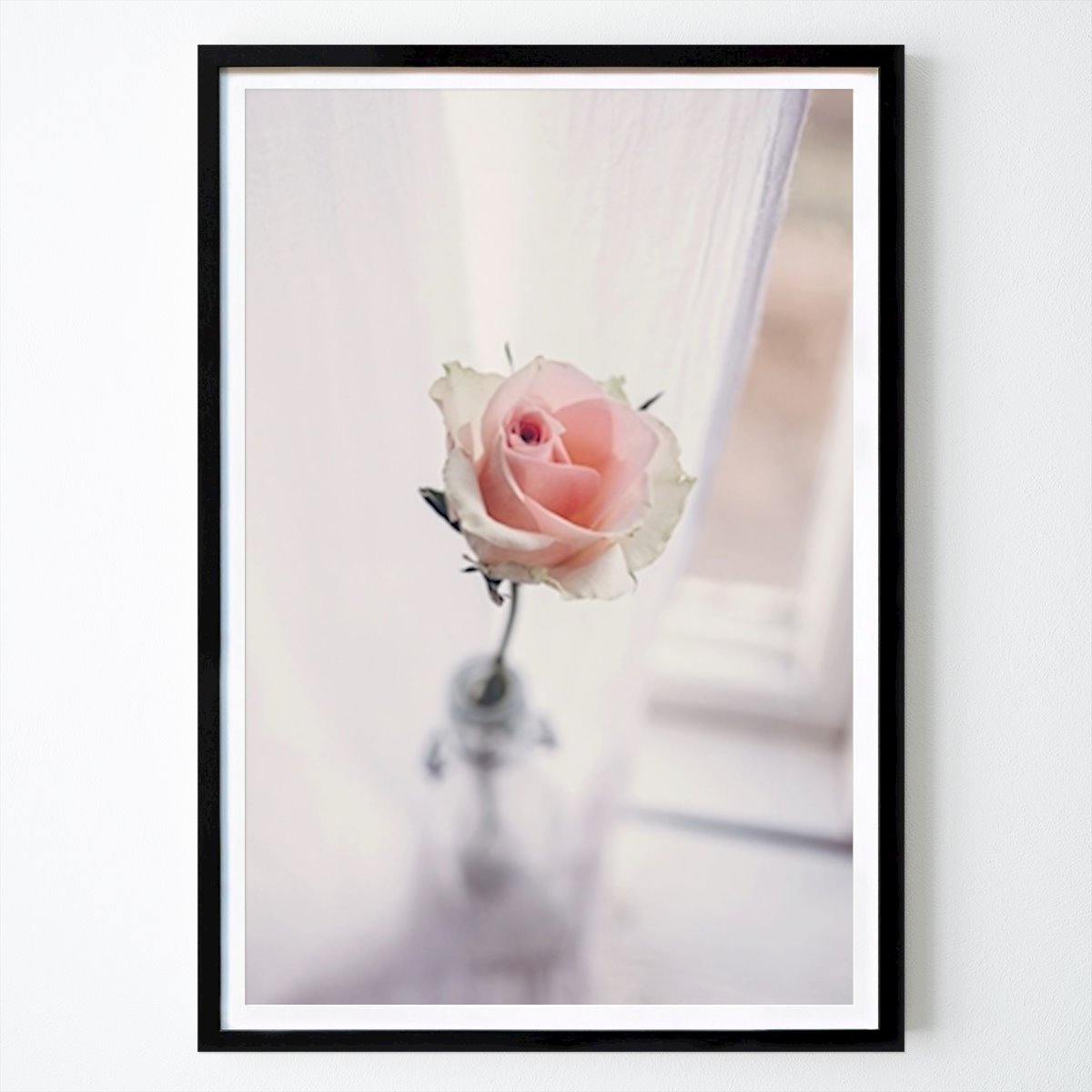 Botanical Poster: The Rose by Frida Linbäcke