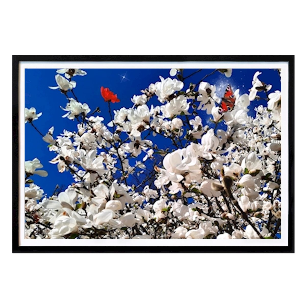 Flores & Plantas Poster: Madicken de Sophia Silva