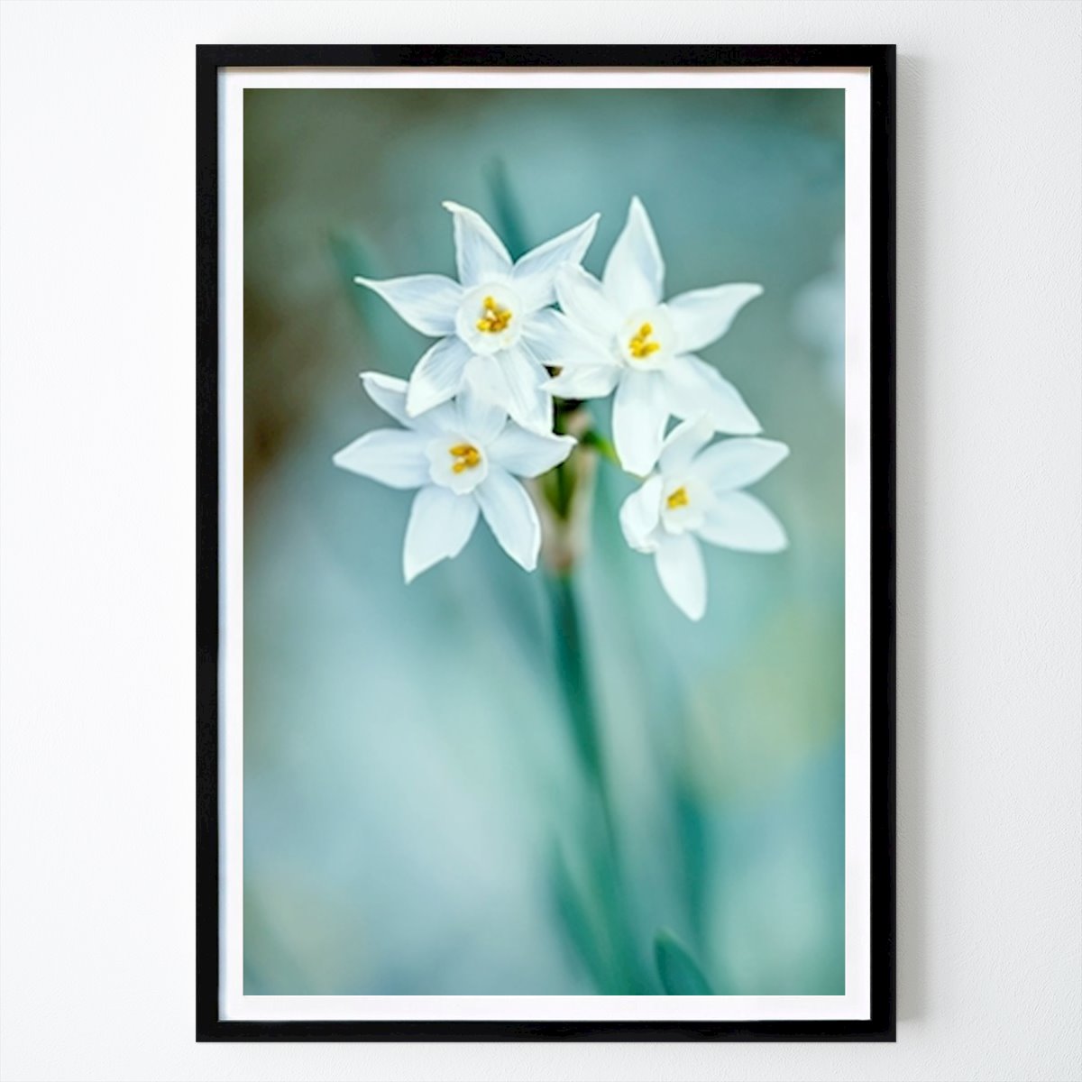 Gothenburg Poster: Paperwhite Narcissus by Martin Wahlborg