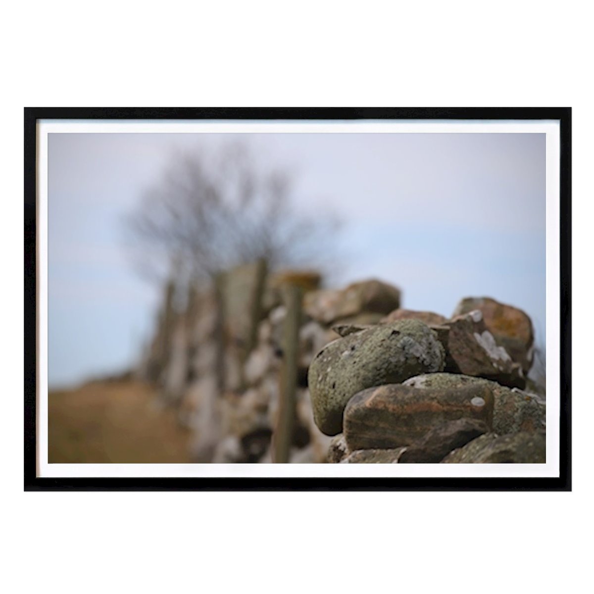 Naturaleza Póster: Stenmur de Anne Flach