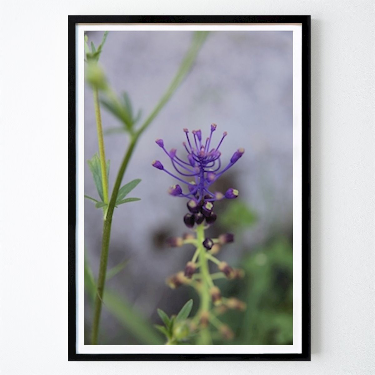 Natur Poster: Seltsame Blume von Michele Gavazza