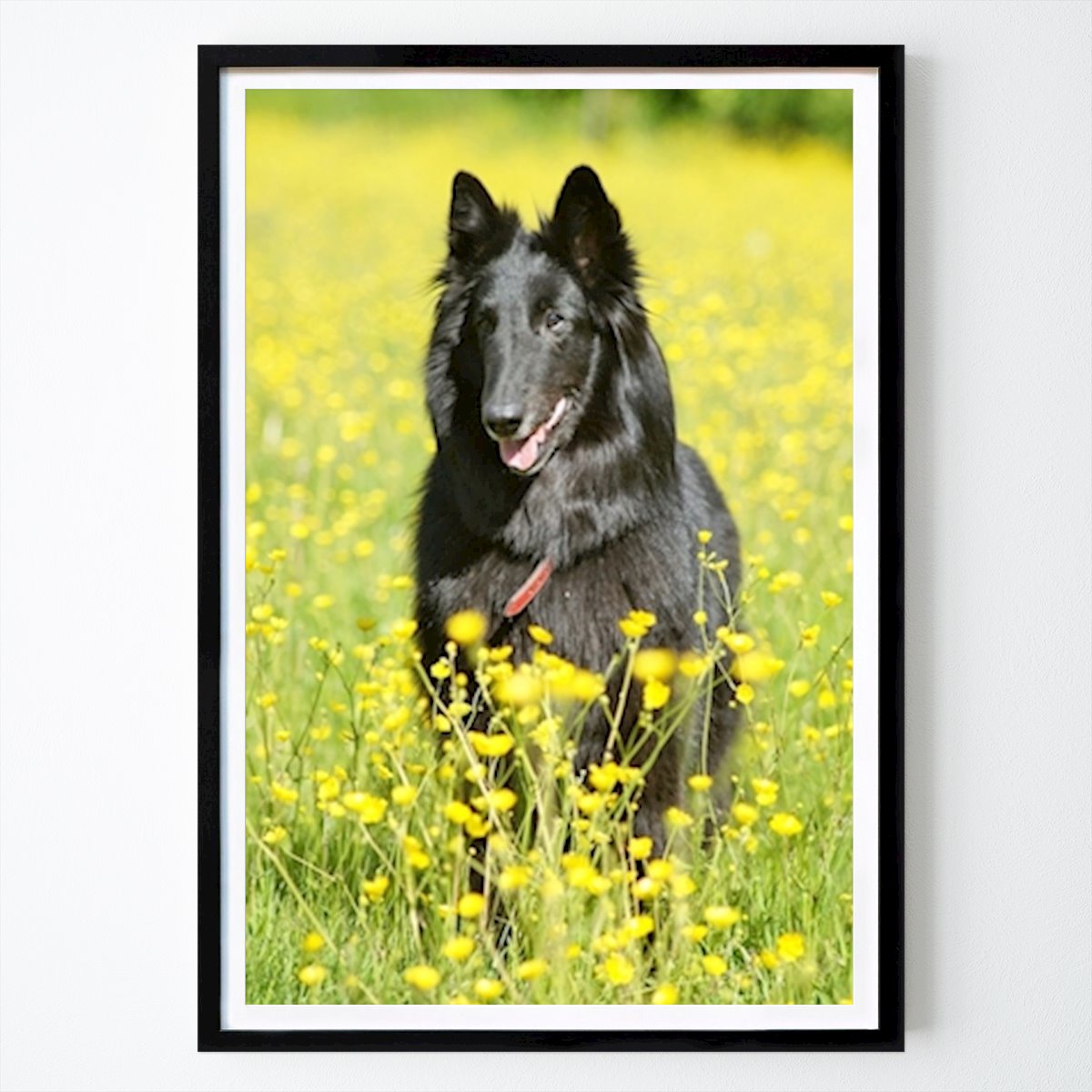 Animals Poster: Flinga by Lotta Lundahl