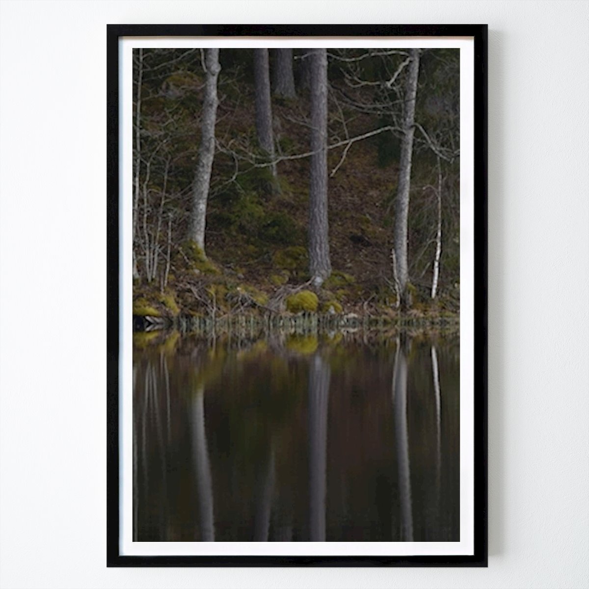 Natur Poster: Var är Tuvstarr? av Karin Hedström