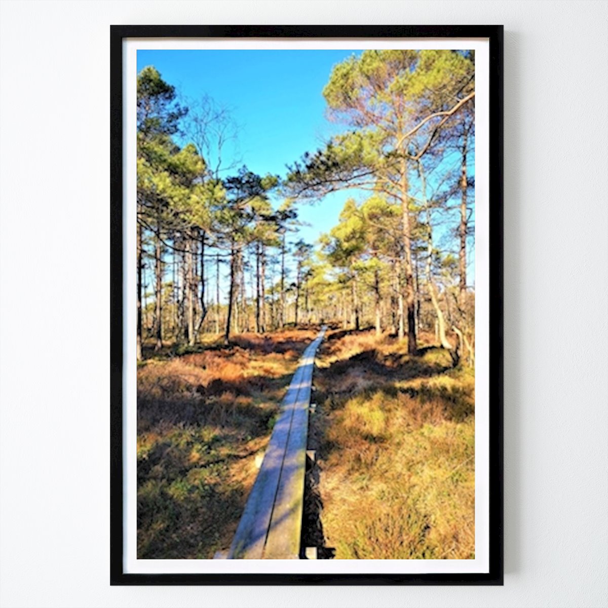 Sport & Hobbies Poster: Foto van nature #4 van Wioletta Isaksson