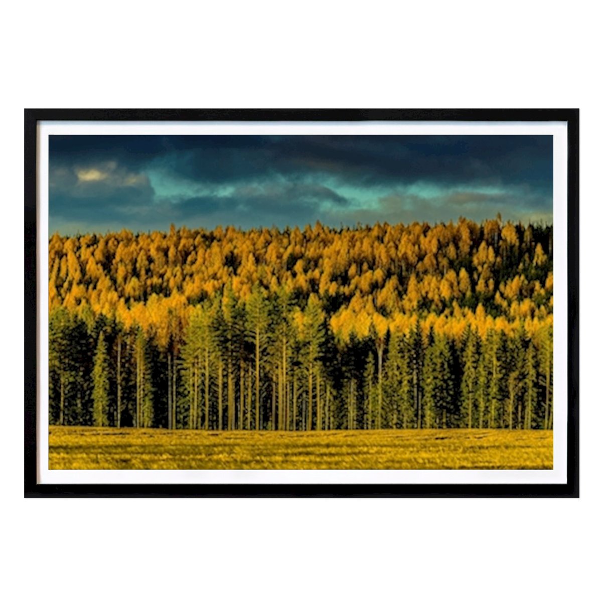 Fjällboda Poster von Neil Crighton – Natur Wandbild – Printler