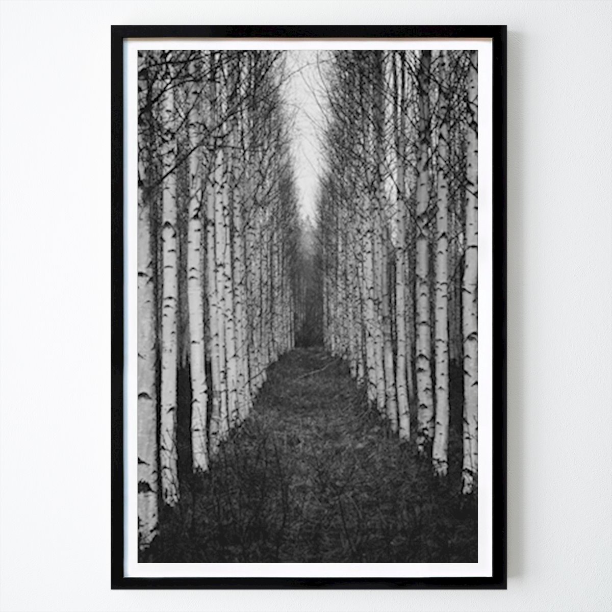 Preto e branco Poster: A floresta perfeita de Peter Bjurström