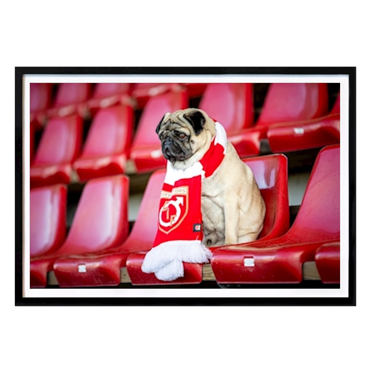 Fotball Plakat: Degerfors-tilhenger av Tommy Andersson