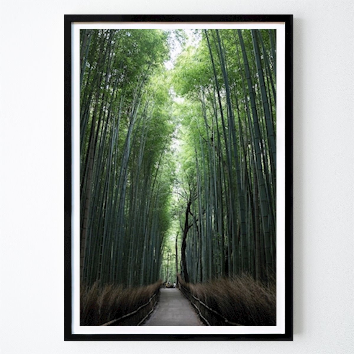 Natur Poster: Bambus von Carl Johan Kimell