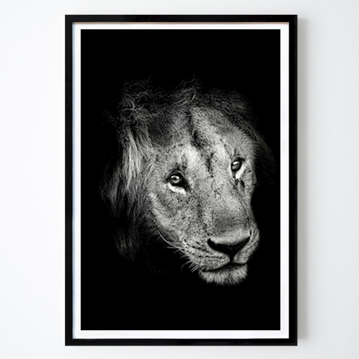 Animale Poster: Da vicino di Maria Nemeth