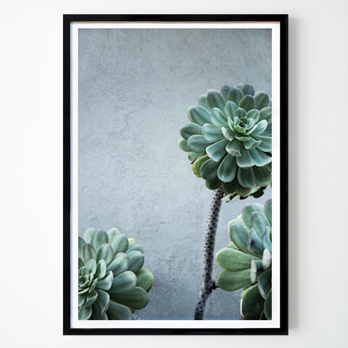 Blumen & Pflanzen Poster: Saftig von Angeliqa Jonsson