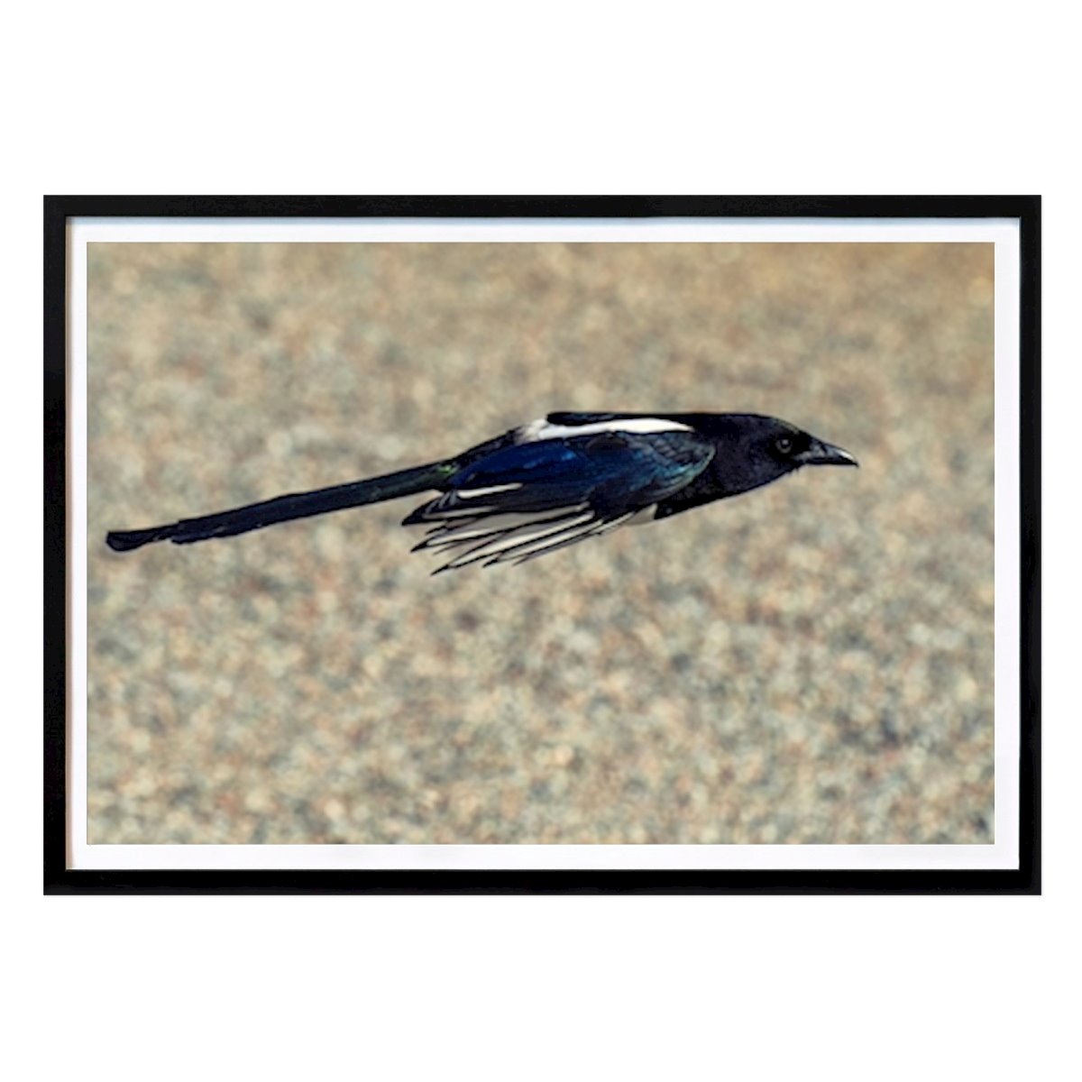 Gráfico Póster: Vista de Per Norman