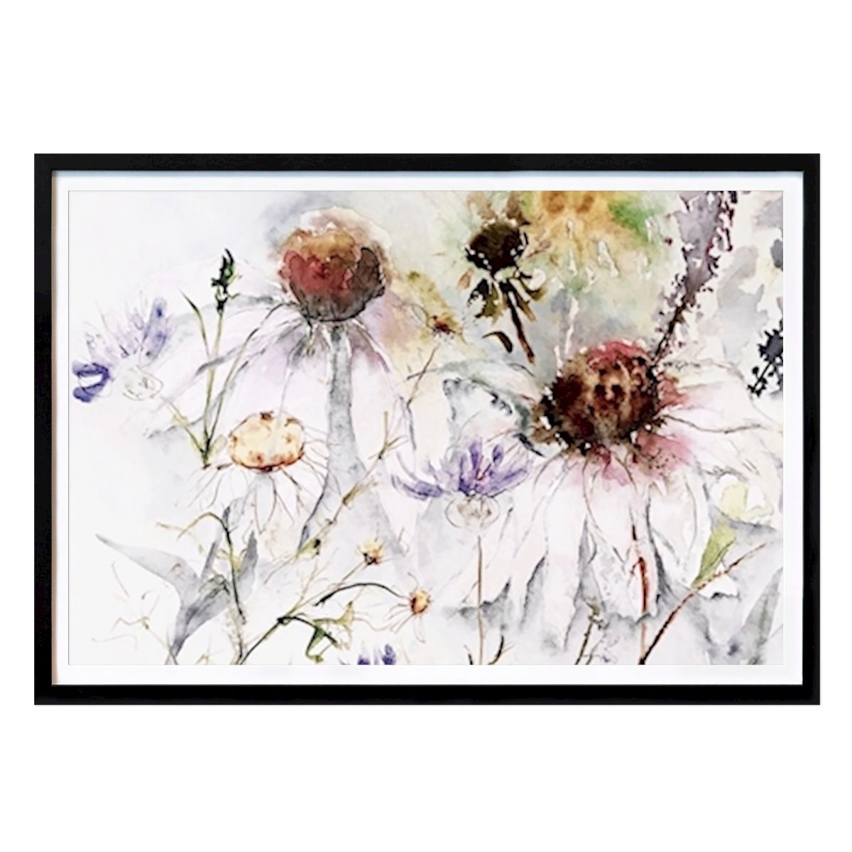 Fleurs & Plantes Affiche: Chapeau de soleil blanc par June Rydgren