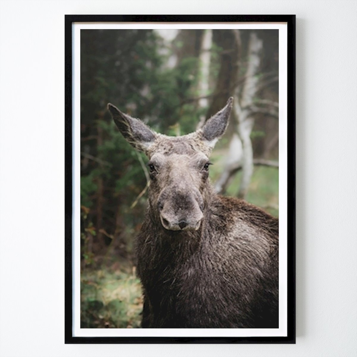 Places & Cities Poster: The Moose by Alice Eliasson