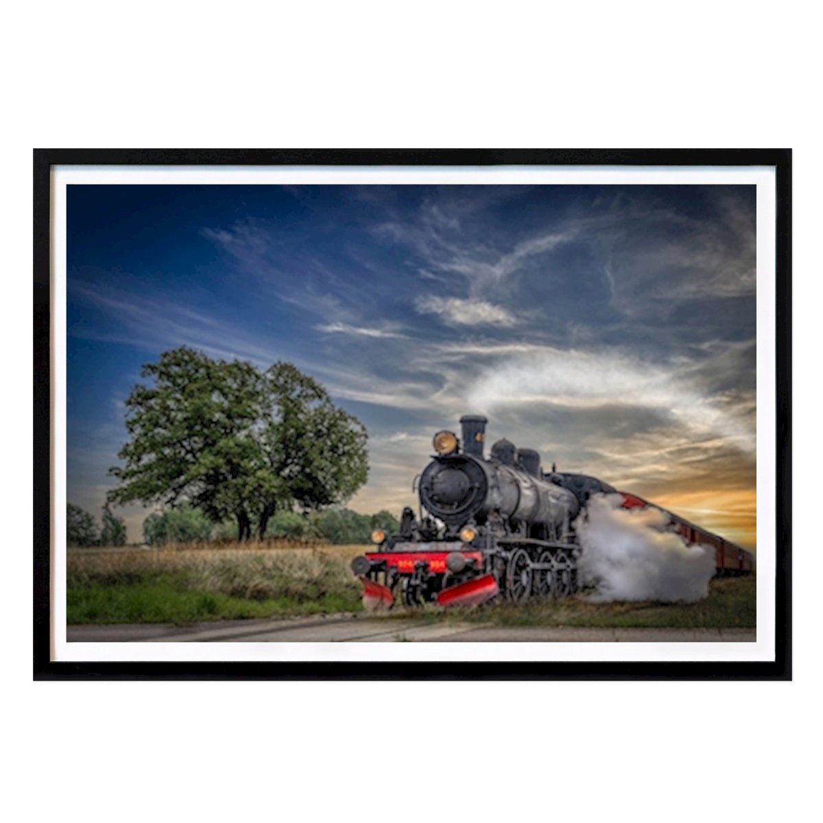 Nature Poster: Steam locomotive SJ E2 954 by William Berg