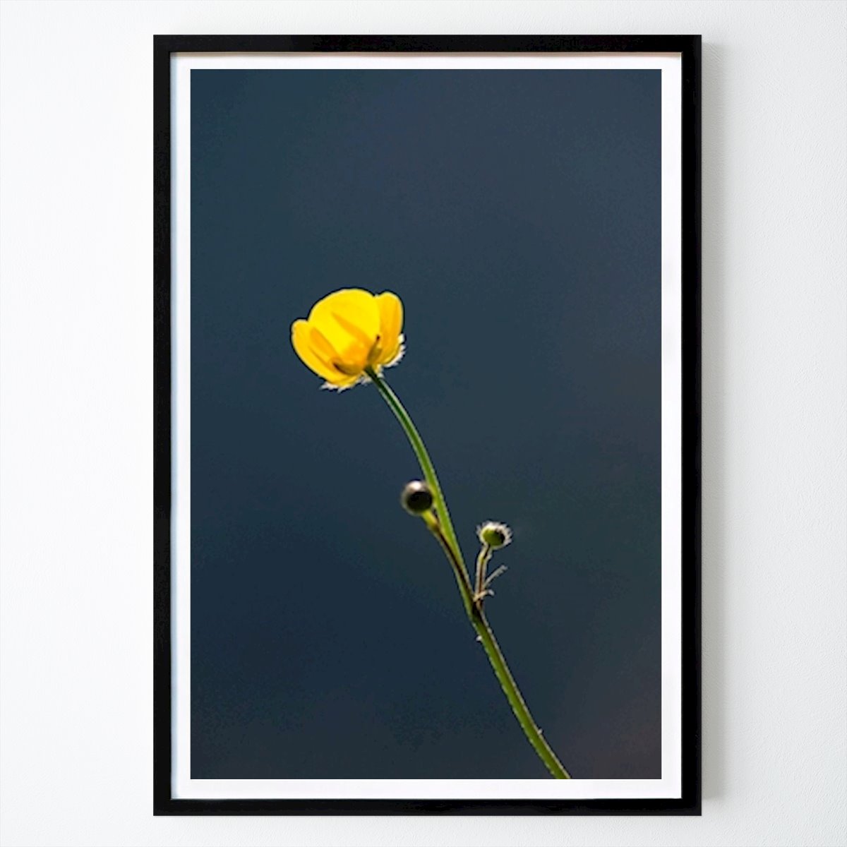 Flores & Plantas Póster: Flor a la luz del sol de Rajesh Badarawada